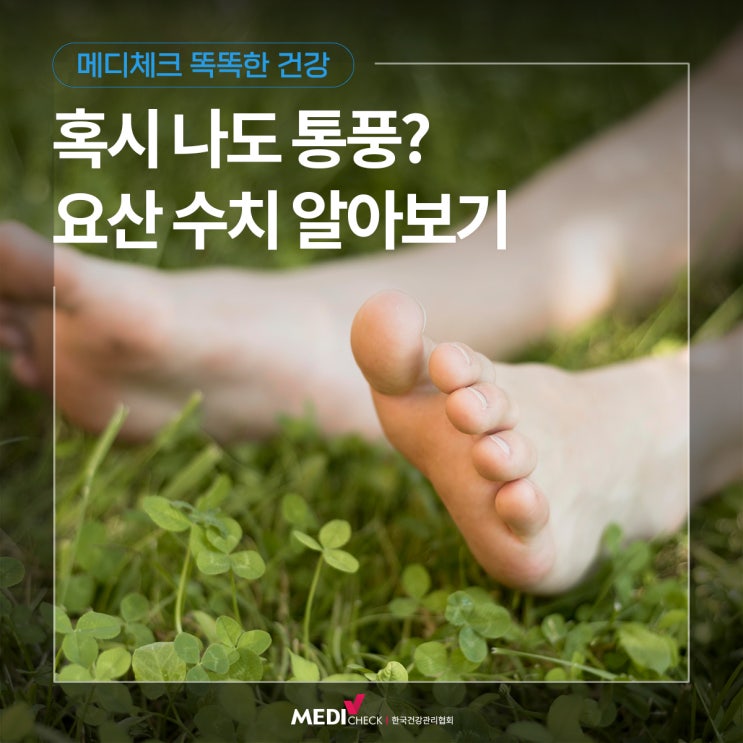  [똑똑한 건강] 혹시 나도 통풍? 요산 수치 알아보기