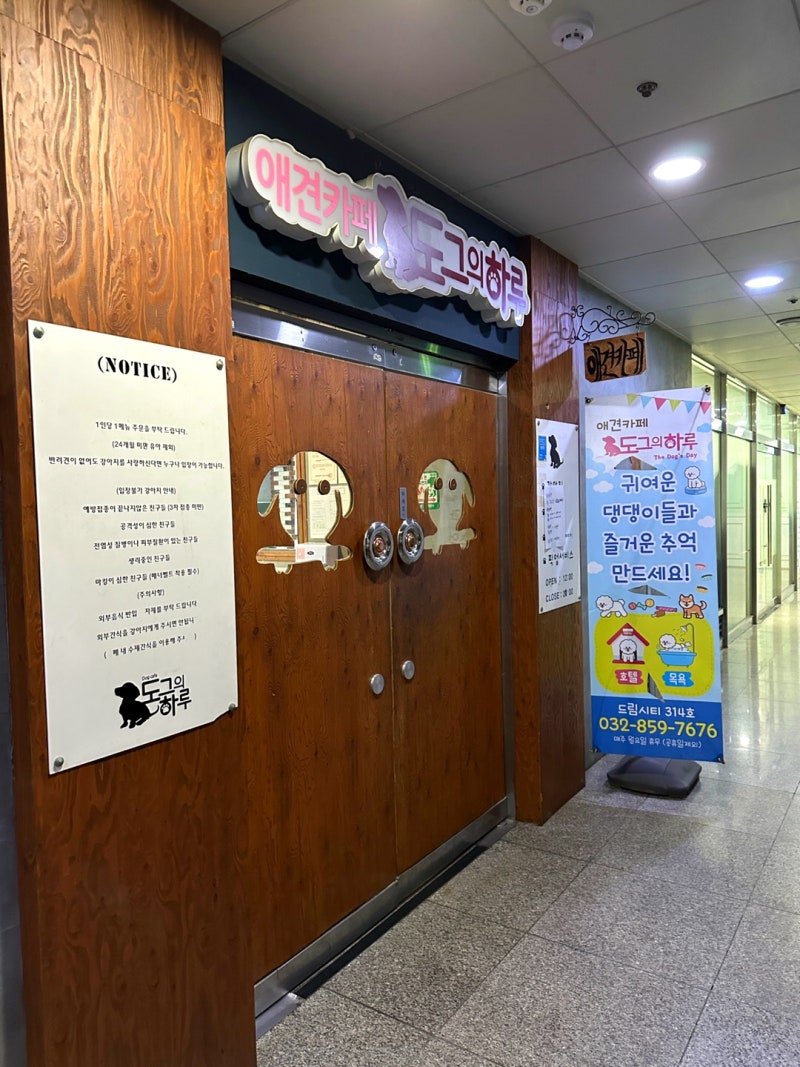 도그의 하루