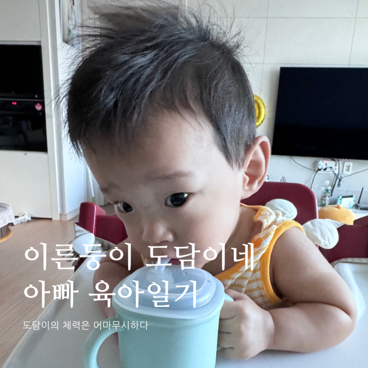 아이의 체력은 어마무시하다D+306 아이의 체력은 어마무시하다D+306