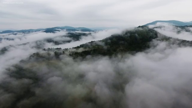  구로구 수궁동 청년배관케어 화장실물막힘 전쟁에서 승리하기