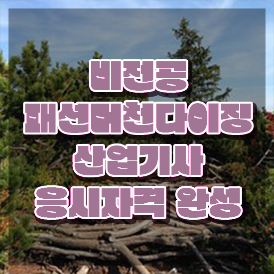  패션머천다이징산업기사 2024 시험일정 패션머천다이징산업기사 응시조건 집에서 온라인으로 편하게 성공한 방법