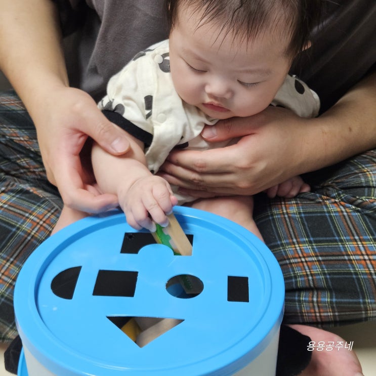  아빠와 함께하는 블루래빗 유아완구 피카소 원목 패턴 블록놀이