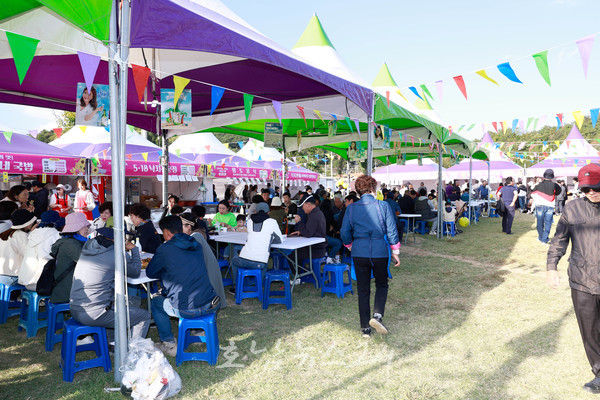  2024 화순 고인돌 가을꽃 축제 음식부스 13개소 판매자 모집