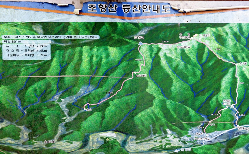머리골 사진 6