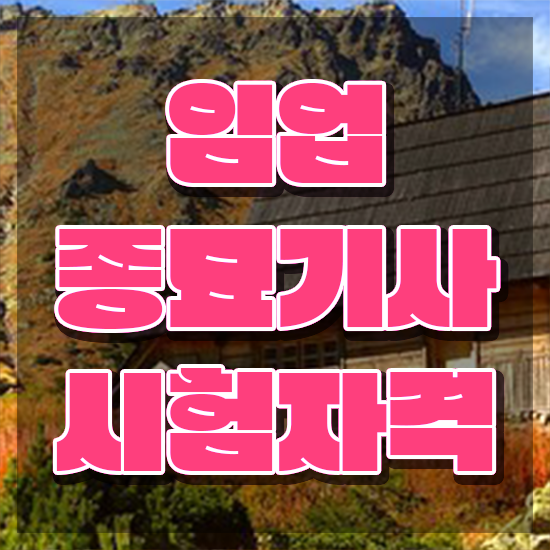  임업종묘기사 필기시험 시간 임업종묘기사 취득자격 집에서 온라인으로 5달만에 완료한 과정
