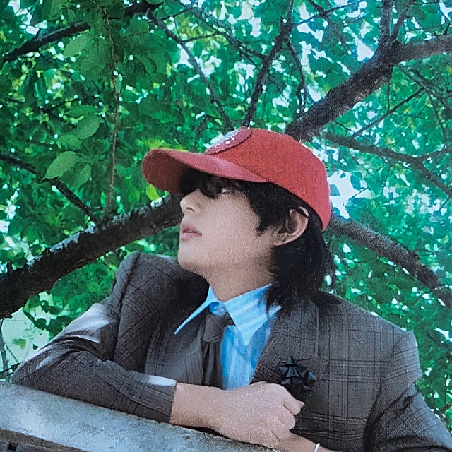 News image: Layover is soaring