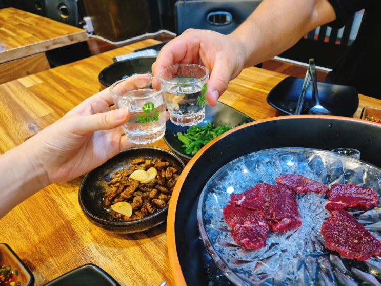  대전가수원동맛집 도안동술집 추천 '인생도뭉티기'