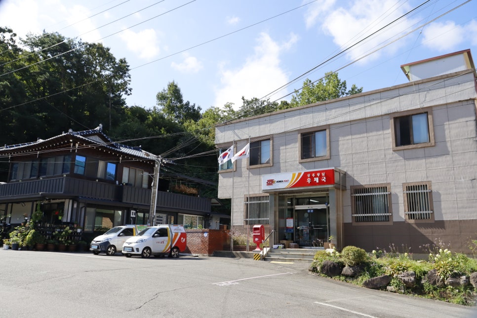 머리골 사진 4
