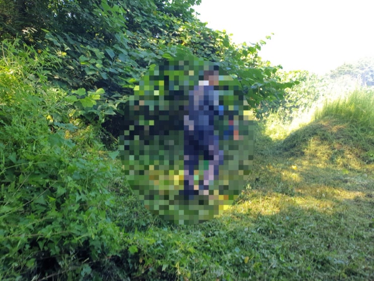  2024년 김천시 대덕면 조룡리 벌초대행 고인돌장의사 #김천벌초 #선산벌초 #구미벌초 #황간벌초 #영동벌초 #성주벌초 #상주벌초 #벌초대행 #벌초 #추석벌초 #손없는날 #윤달