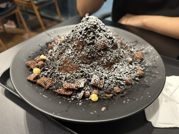  [동탄 빙수 맛집] 블랙울프 동탄역점 내돈내산 솔직 후기 / 인절미빙수, 초콜렛빙수 / 동탄 카페 추천