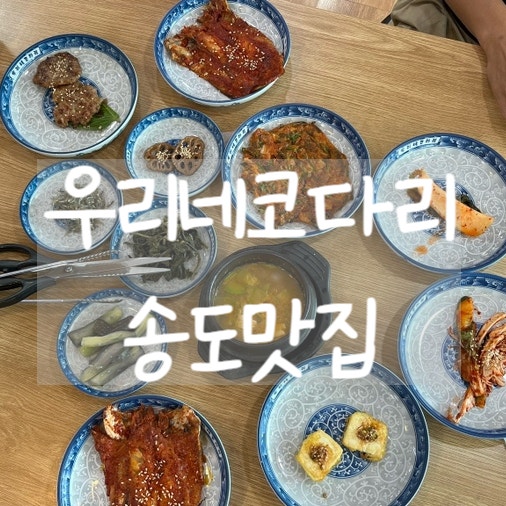 우리네코다리 사진 1