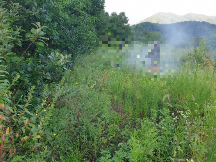  2024년 김천시 대덕면 추량리 벌초대행 고인돌장의사 #김천벌초 #선산벌초 #구미벌초 #황간벌초 #영동벌초 #성주벌초 #상주벌초 #벌초대행 #벌초 #추석벌초 #손없는날 #윤달
