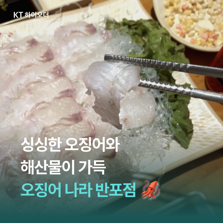   가을을 알리는 오징어, 오징어 나라 반포점