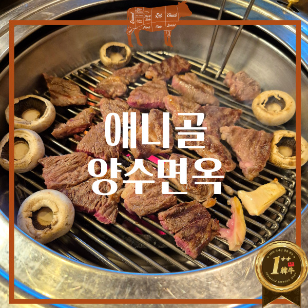  애니골 양수면옥 가족 식사 맛집 추천