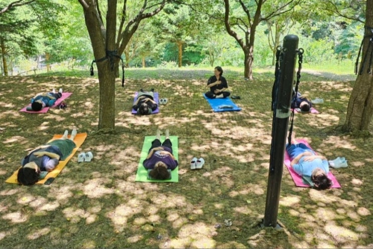 증평 숲명상의집, 산림치유 장소로 인기