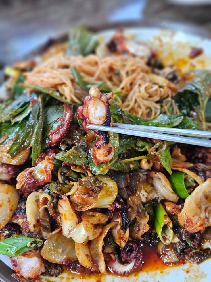  제주 성산 맛집 소희네 뚝배기식당 돌문어볶음 소라물회