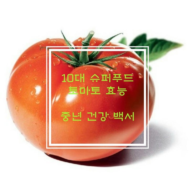  8월 제철음식 토마토 효능 부작용 제대로 알고 먹어야