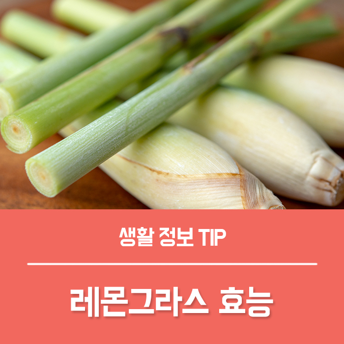  레몬그라스 효능 4가지, 레몬그라스 맛 부작용은?