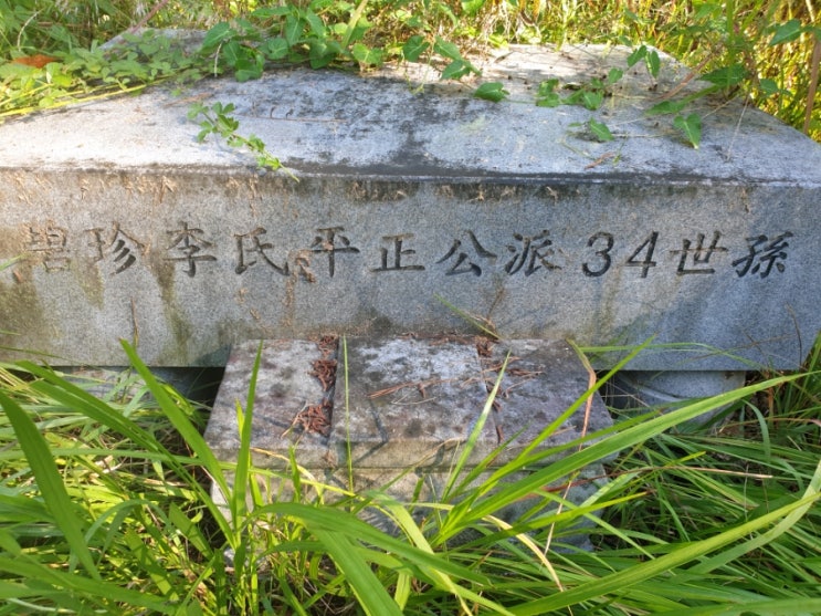  2024년 무주군 무풍면 금평리 추석벌초 고인돌장의사 #김천벌초 #선산벌초 #구미벌초 #황간벌초 #영동벌초 #성주벌초 #상주벌초 #벌초대행 #벌초 #추석벌초 #손없는날 #윤달