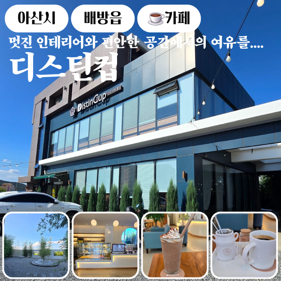 디스틴컵 사진 1