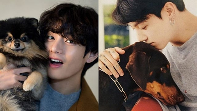 News image: International Dog Day