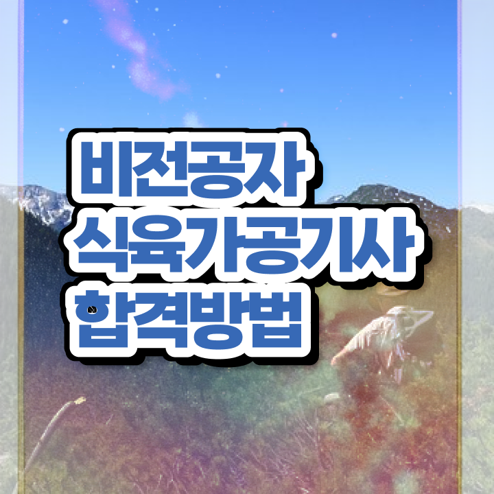  식육가공기사 시험응시자격 인강만 듣고 쉽고 빠르게 성공한 방법