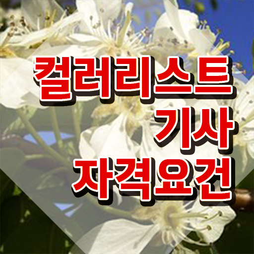  컬러리스트기사자격증 컬러리스트기사 응시자격 학점은행제로 쉽고 빠르게 준비한 노하우