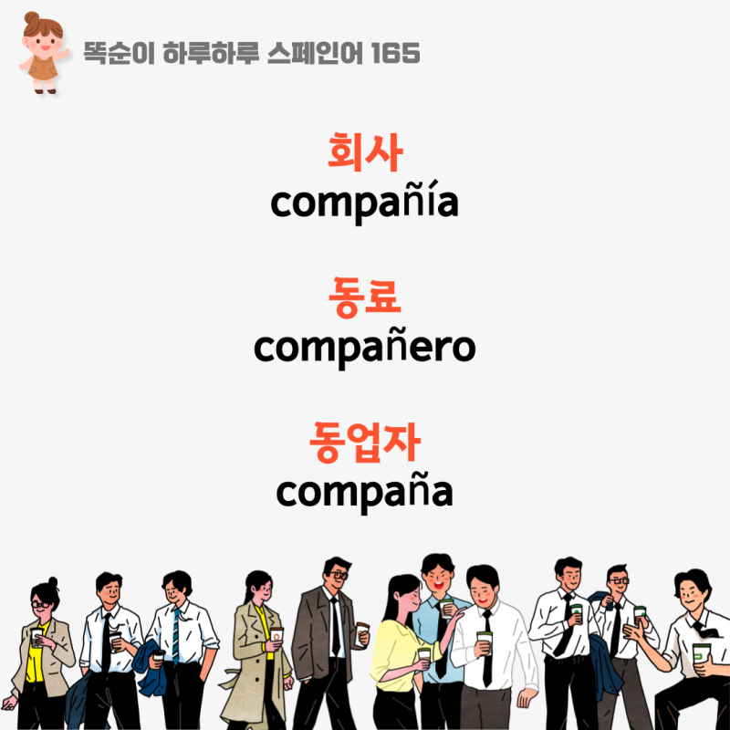 스페인어 (165) 회사, 동료, 동업자, 동반자 스페인어 (꼼빠니아 뜻)