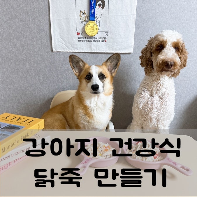 강아지 건강식 닭죽 만드는 법