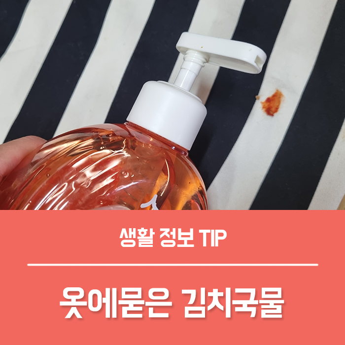  옷에묻은 김치국물 지우는법 BEST6, 이렇게 해보세요!