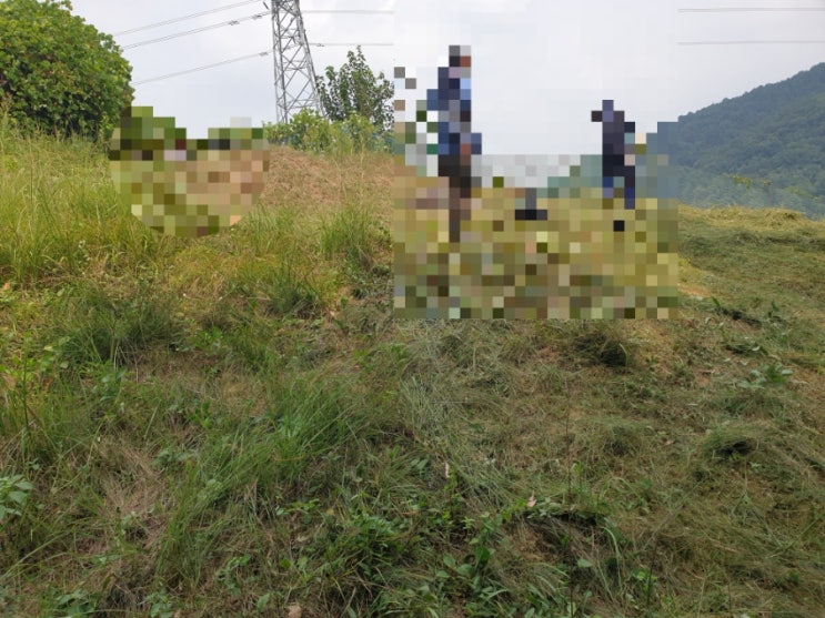  2024년 김천시 남면 봉천리 벌초대행 고인돌장의사 #김천벌초 #선산벌초 #구미벌초 #황간벌초 #영동벌초 #성주벌초 #상주벌초 #추석벌초 #윤달 #손없는날 #이장
