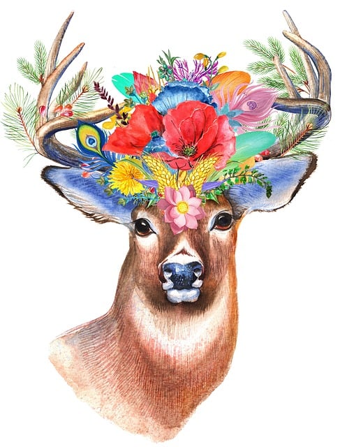  사바하 찾아보기