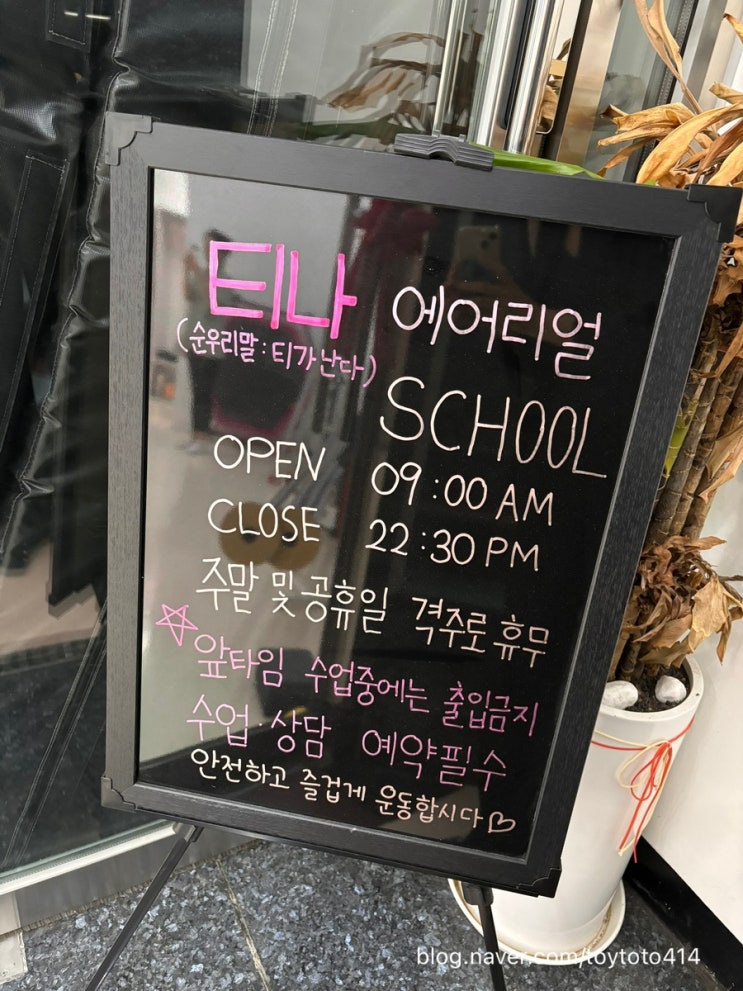  강남역플라잉요가, 티나에어리얼스쿨 후기