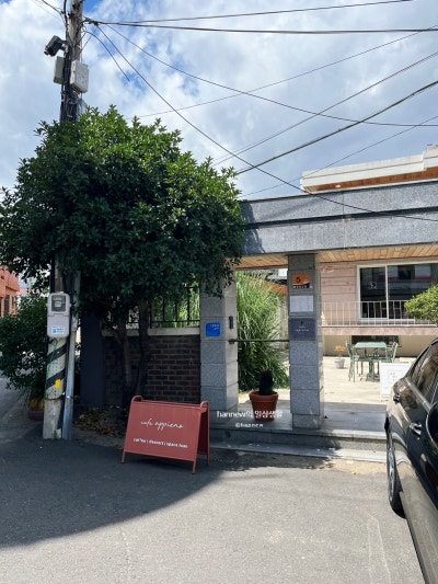 사진 2