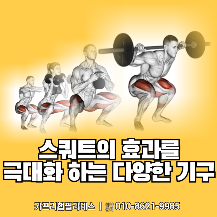  【약수역재활운동】 스쿼트의 효과를 극대화하는 다양한 기구