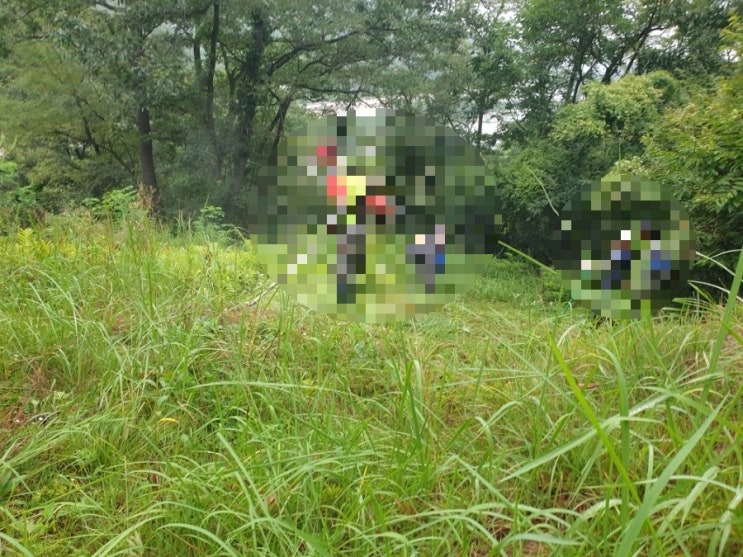  2024년 김천 봉산면 덕천리 벌초대행 고인돌장의사 #김천벌초 #선산벌초 #구미벌초 #황간벌초 #영동벌초 #성주벌초 #상주벌초 #벌초대행 #벌초 #추석벌초 #손없는날 #윤달