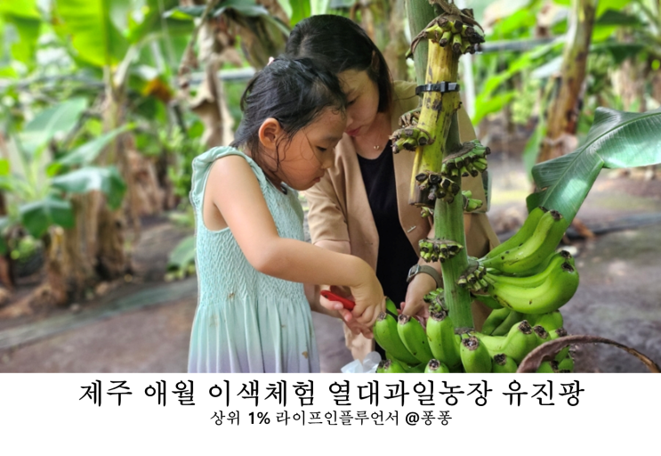  제주 열대과일농장 유진팡 바나나따기 동물체험 제주도 서쪽 서귀포 아이와 가볼만한곳 추천