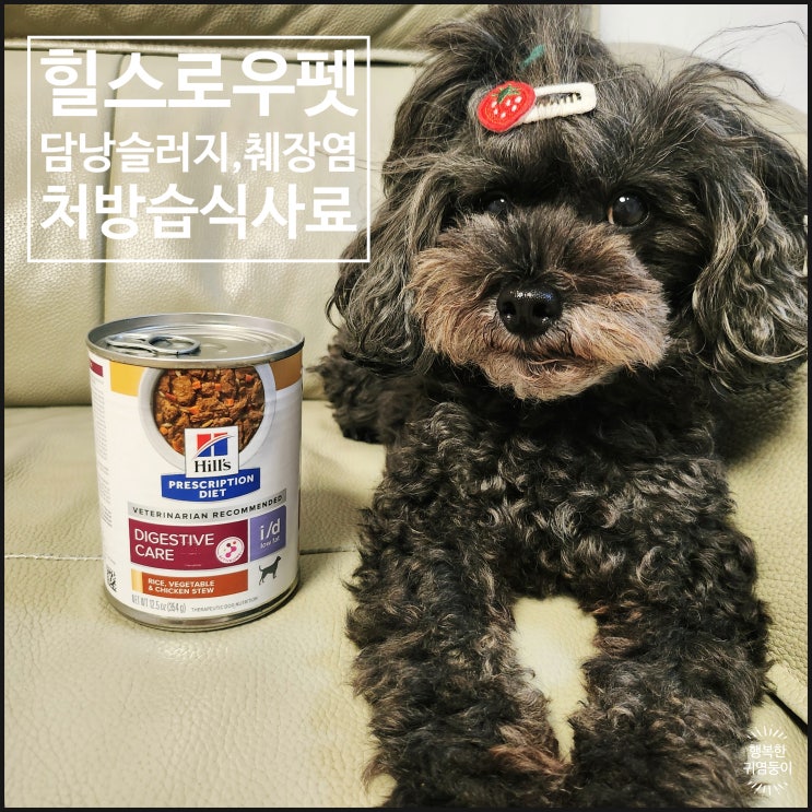  힐스 id 로우펫 캔 강아지 췌장염 담낭슬러지 습식 사료 후기