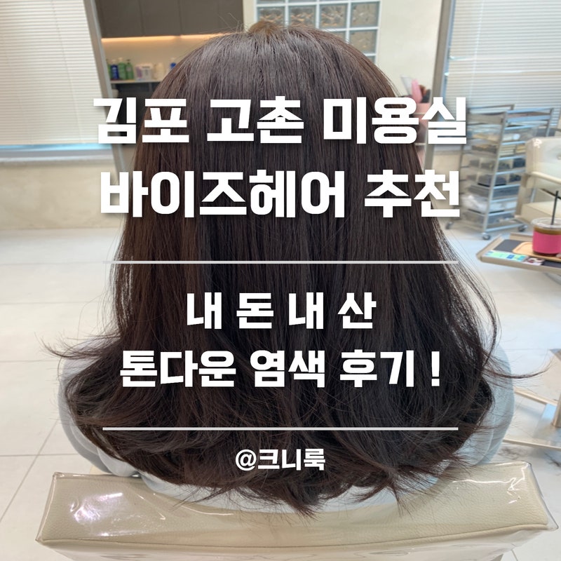 김포 고촌 미용실 바이즈헤어에서 톤 다운 염색 후기
