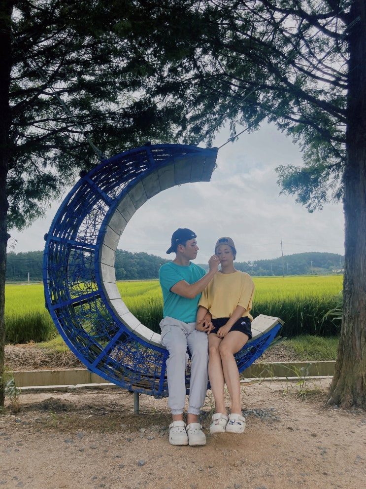  [봄 여름 가을 태안여행 추천] 태안 드라이브 코스로 가볼만한 곳 청산수목원(+주차정보/애견동반/포토존)