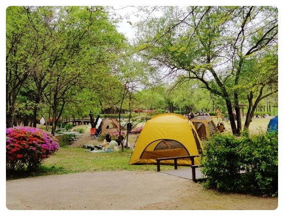  가을 방문하기 좋은 용인공원 구갈레스피아, 반려견 산책과 가족 피크닉 즐기기에 딱이에요