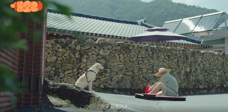 <b>개소리</b> KBS2드라마 OTT방송시간... 소피 <b>이순재 김용건</b> 예수정... 