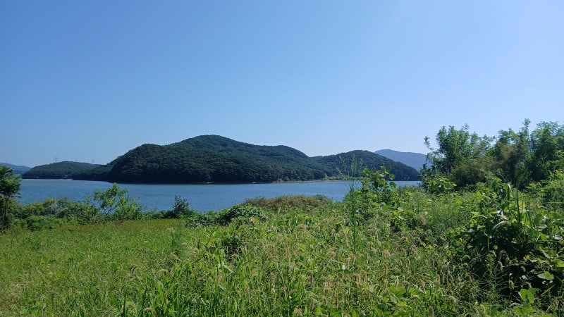 사진 5