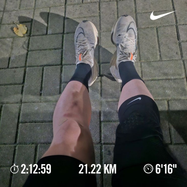매일10km달리기 러닝챌린지1113일차