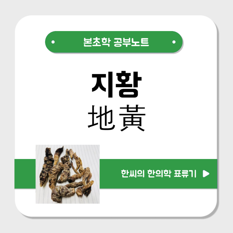  지황(地黃, 생지황/건지황)의 효능을 파헤쳐 보자 : 온열병, 혈열로 인한 출혈, 소갈(당뇨)에 적합한 약재