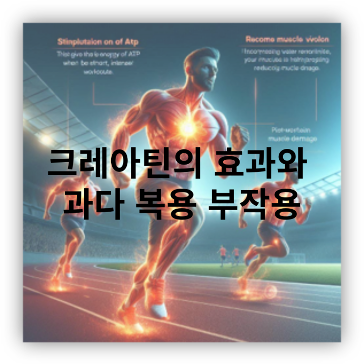  크레아틴의 효과와 과다 복용 부작용은 무엇일까?