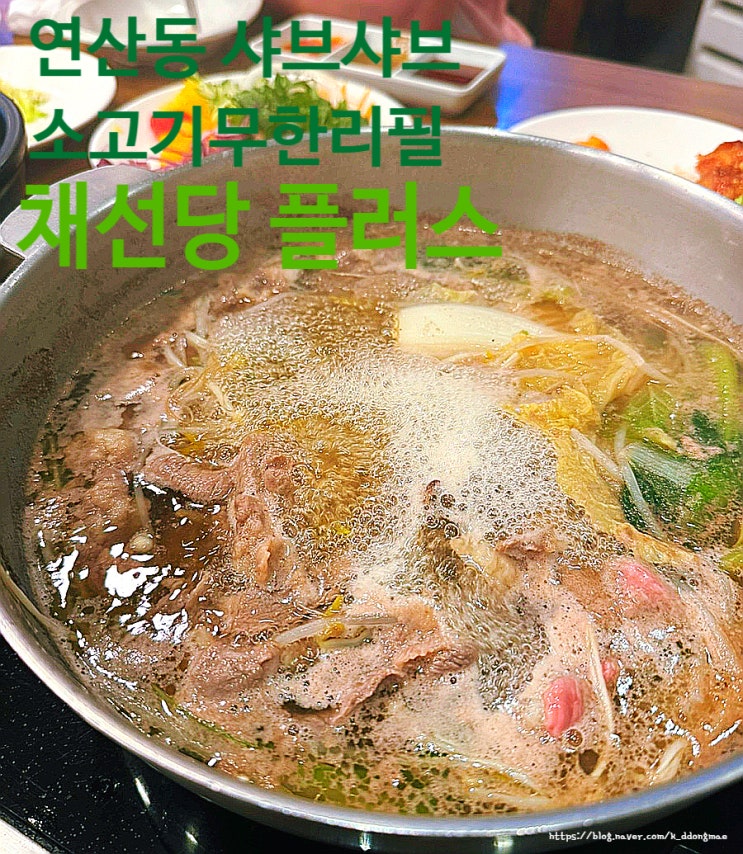  부산 연산동 샤브샤브 맛집 '채선당 플러스' 소고기 무한리필 내돈내산 후기