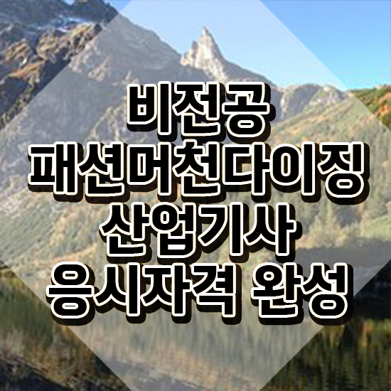  패션머천다이징산업기사 자격요건 온라인으로 5달만에 성공한 노하우