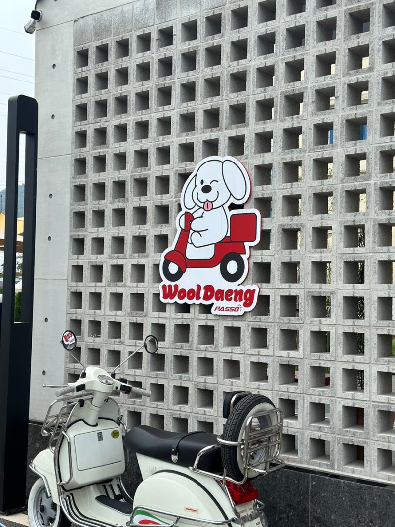 사진 6