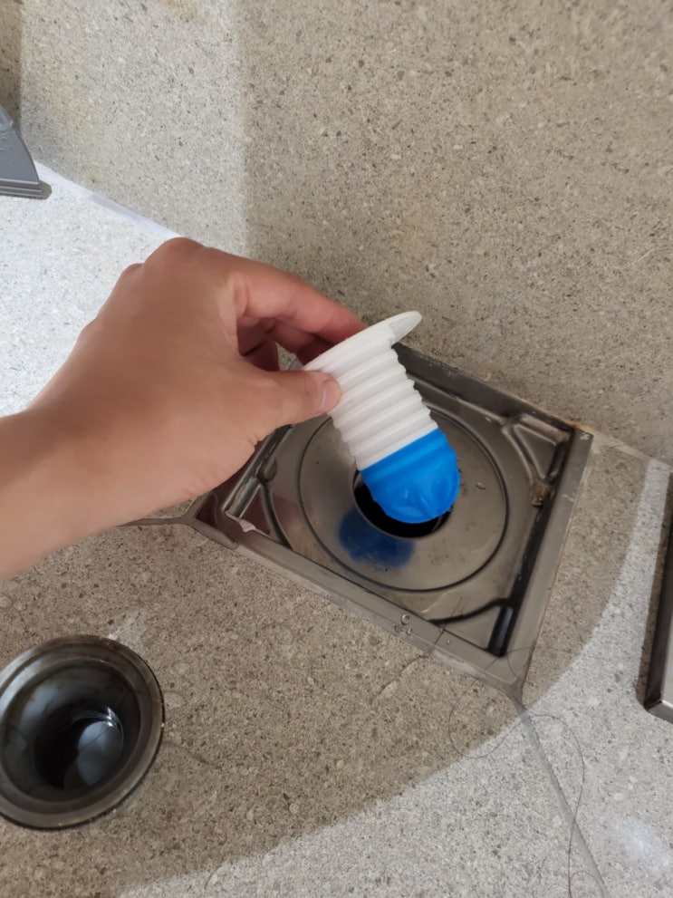  다이소 하수구 차단 트랩 덮개 사용후기